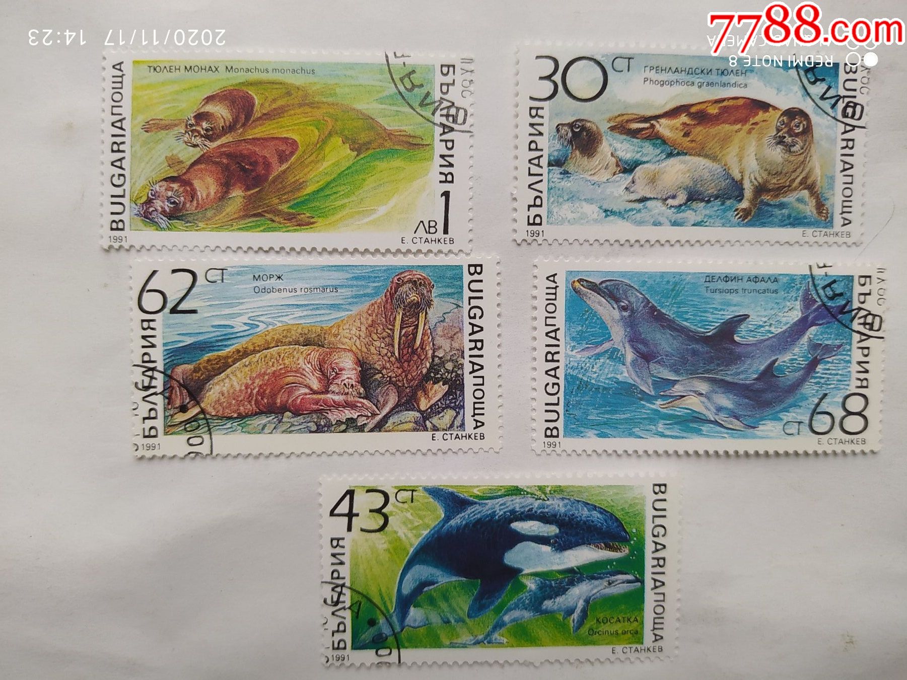 欧洲邮票海洋动物五种一套