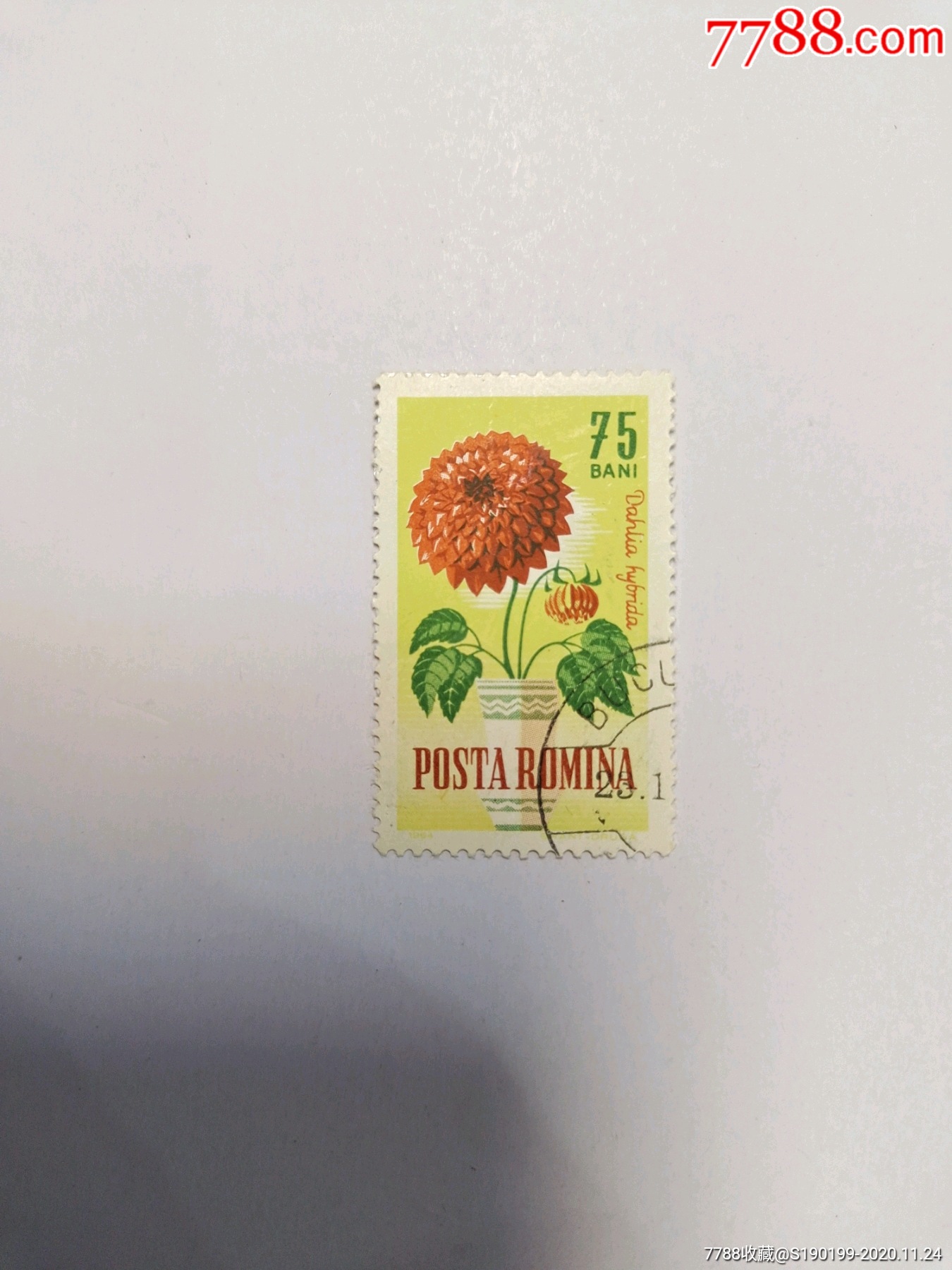 外国邮票向阳花图案