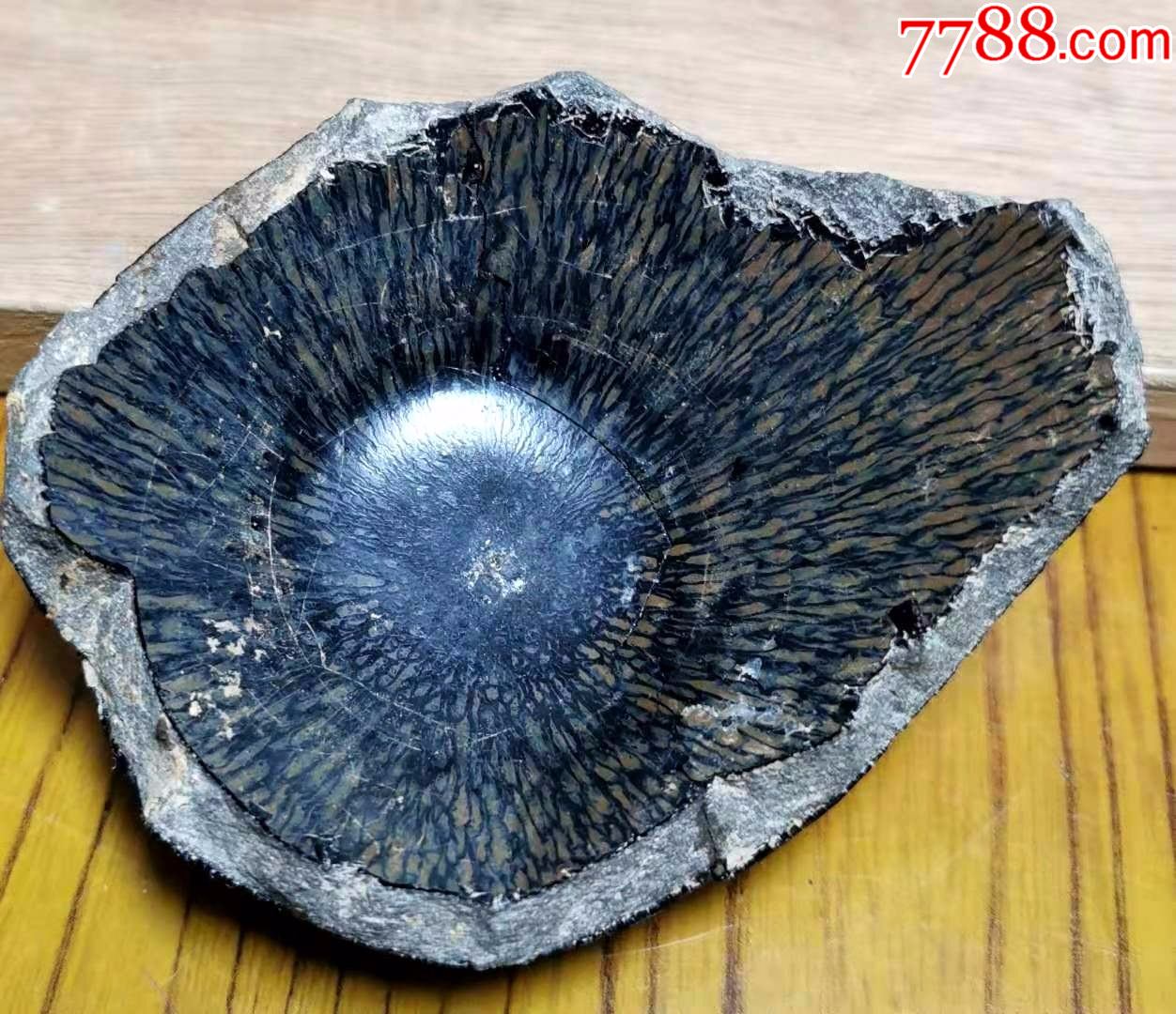 宋代建窑芦花坪窑铁胎金兔毫盏标本