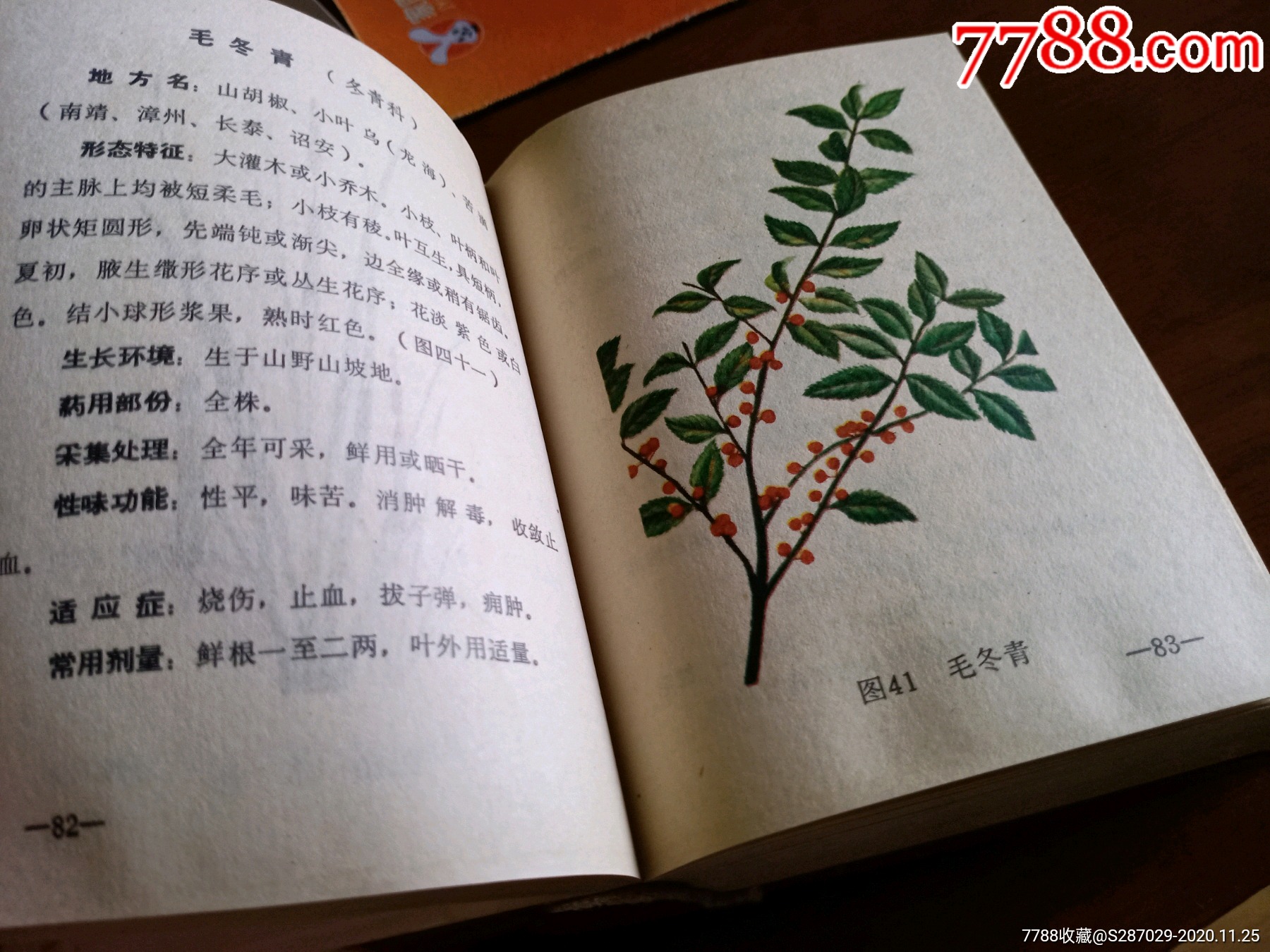 文革龙溪地区实用中草药工具书