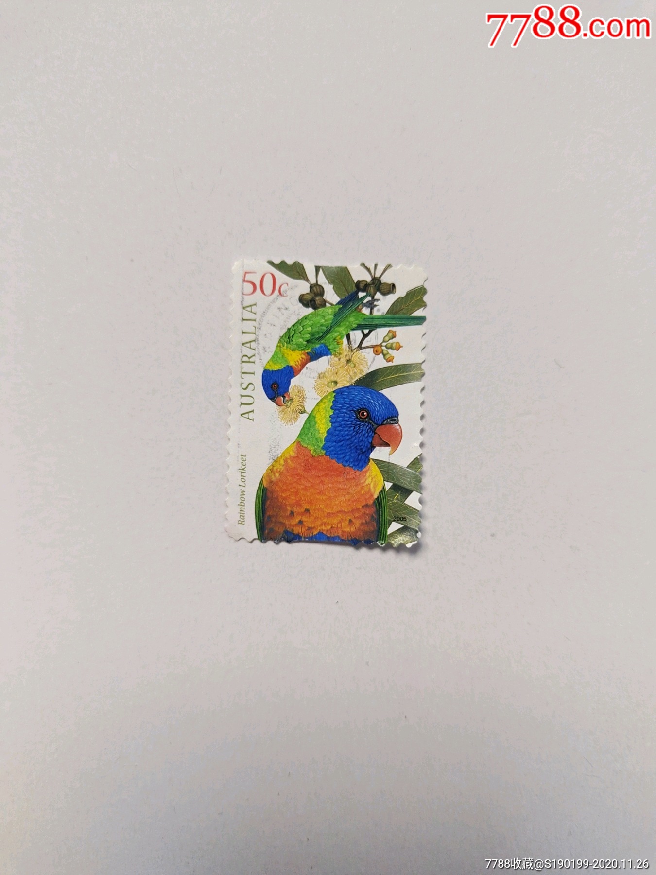 外国邮票漂亮鹦鹉图案