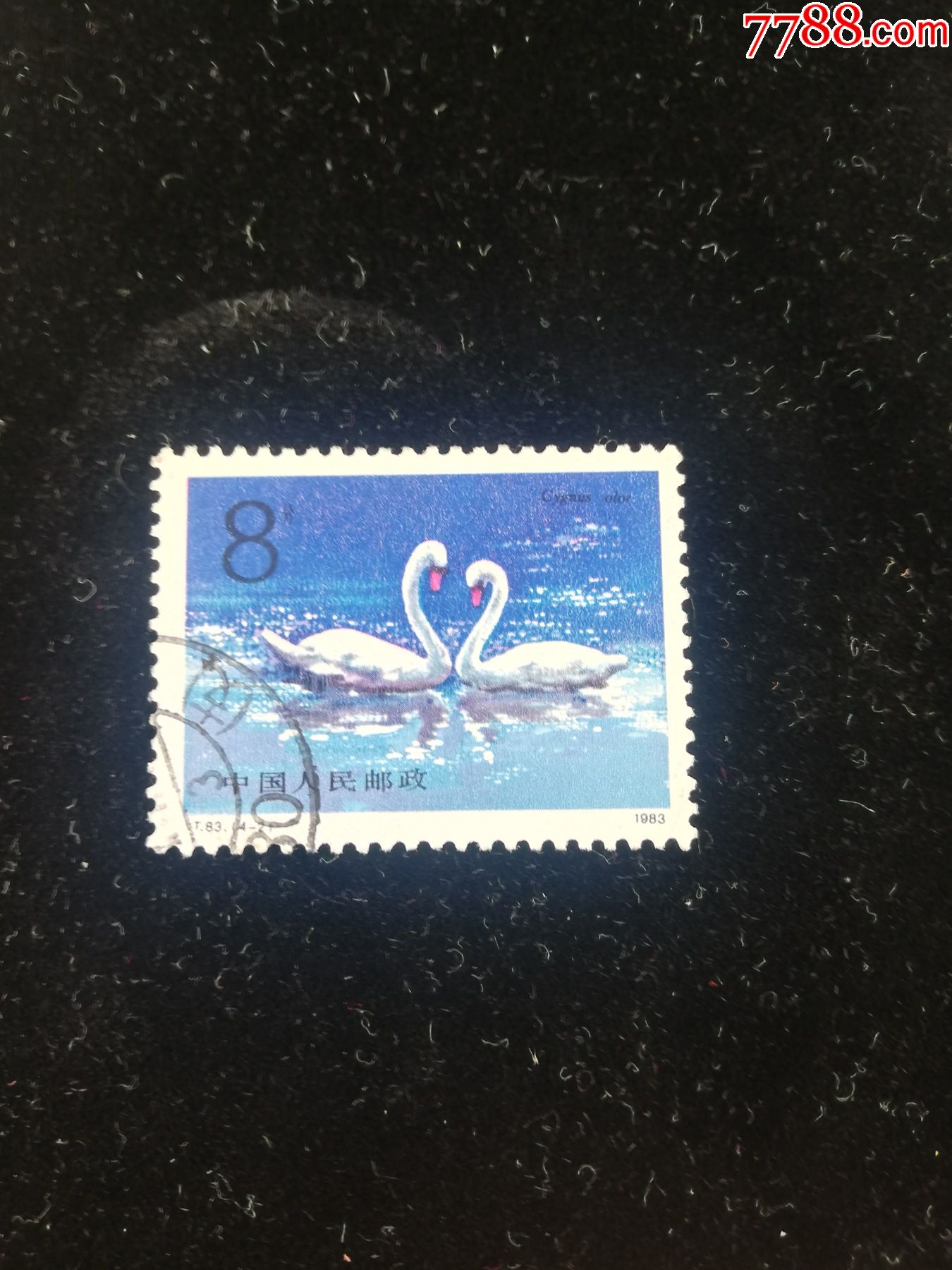 jt信销票t83天鹅42左下戳30支gyx19901