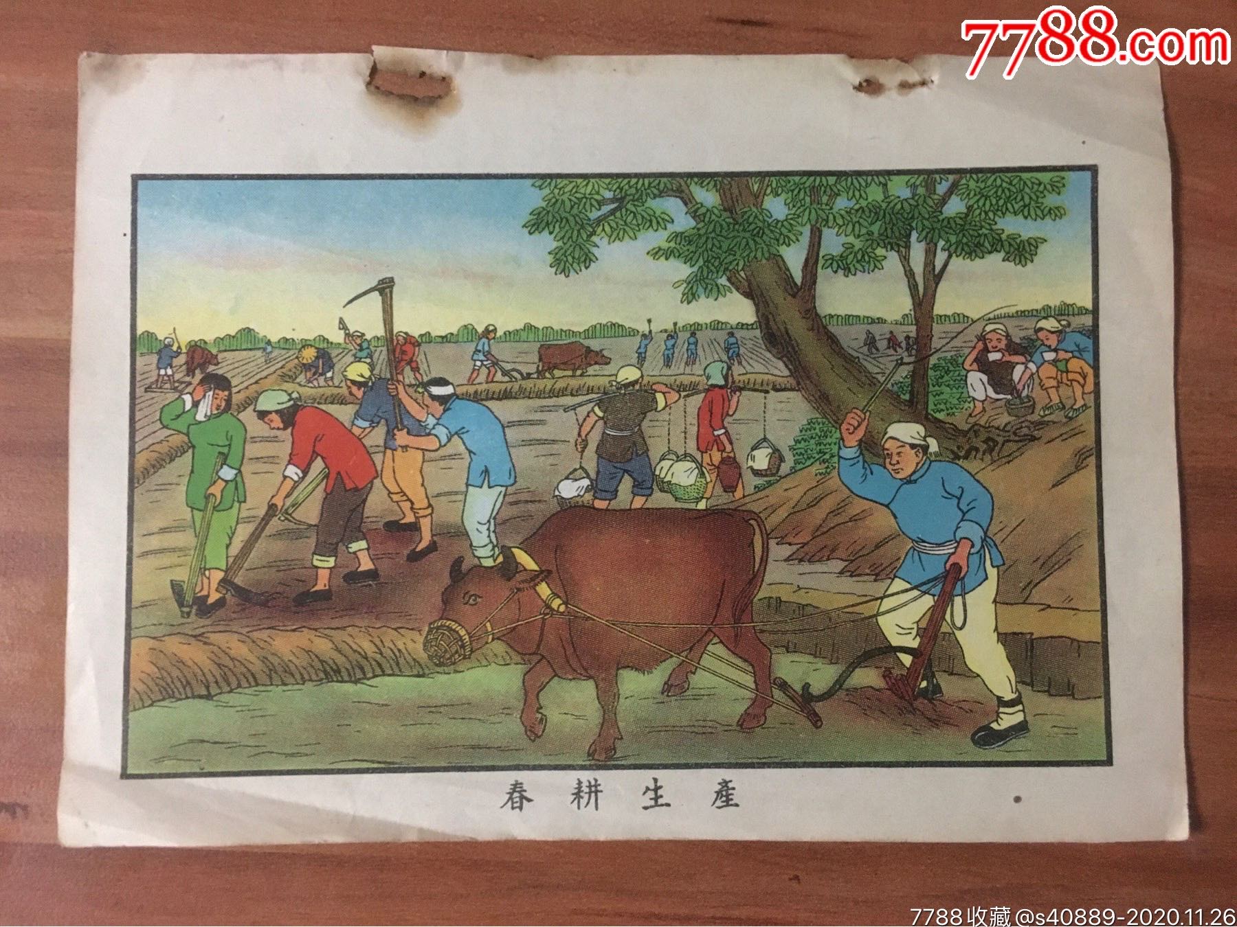 春耕生产(建国初土改完成题材,上海1950)