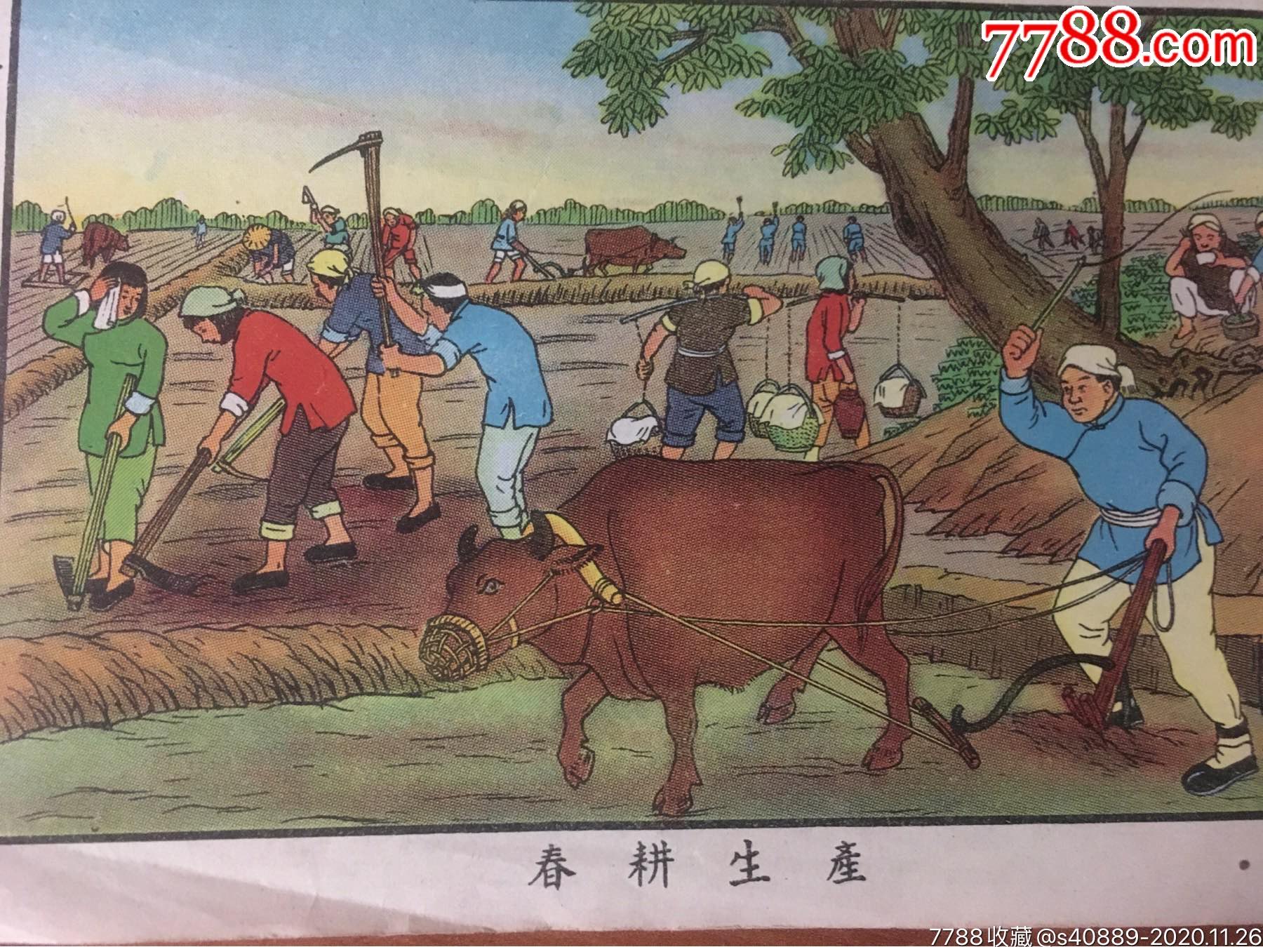 春耕生产(建国初土改完成题材,上海1950)