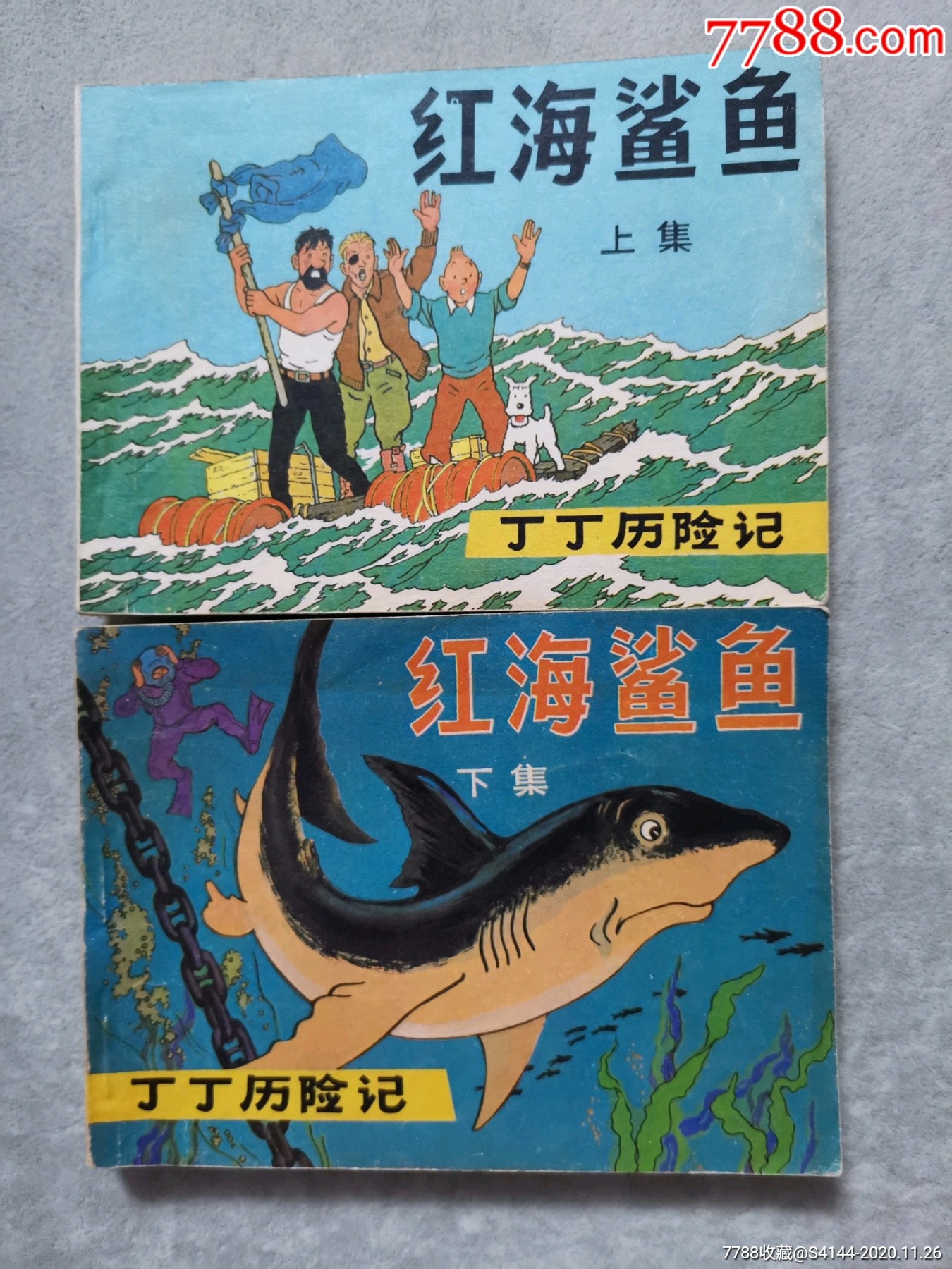 红海鲨鱼上下丁丁历险记系列