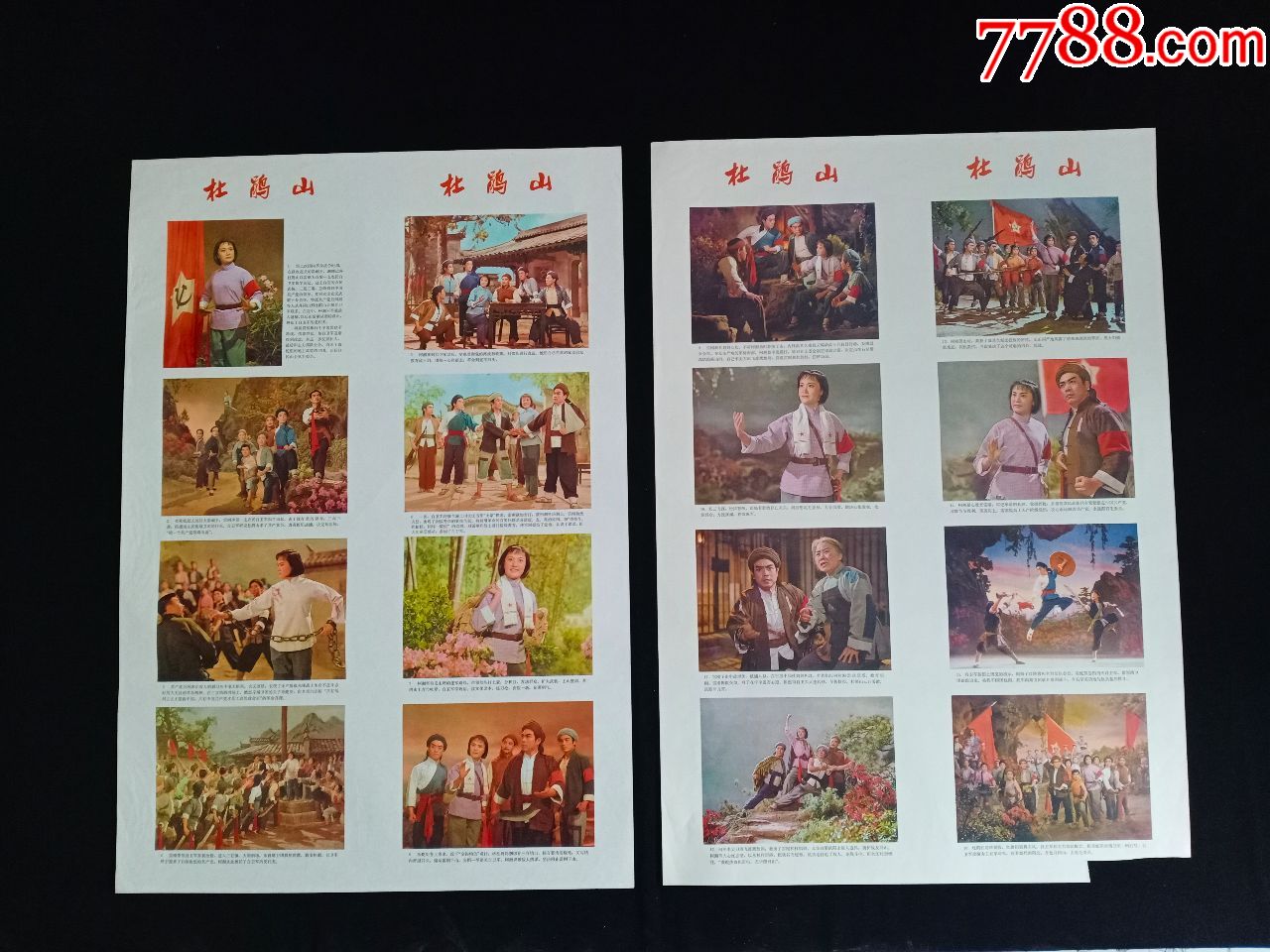 杜鹃山两张一套