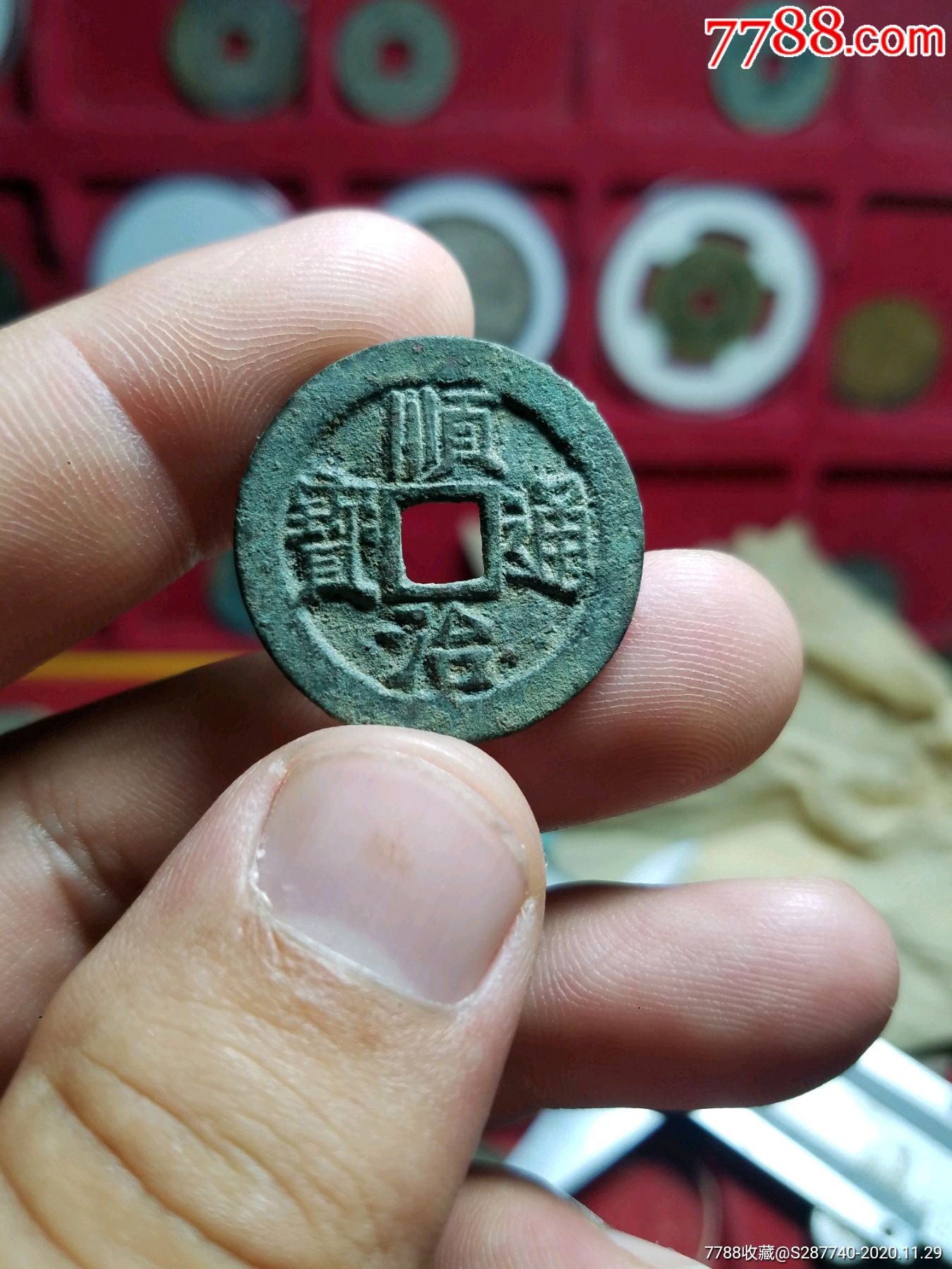 顺治通宝背上蓟