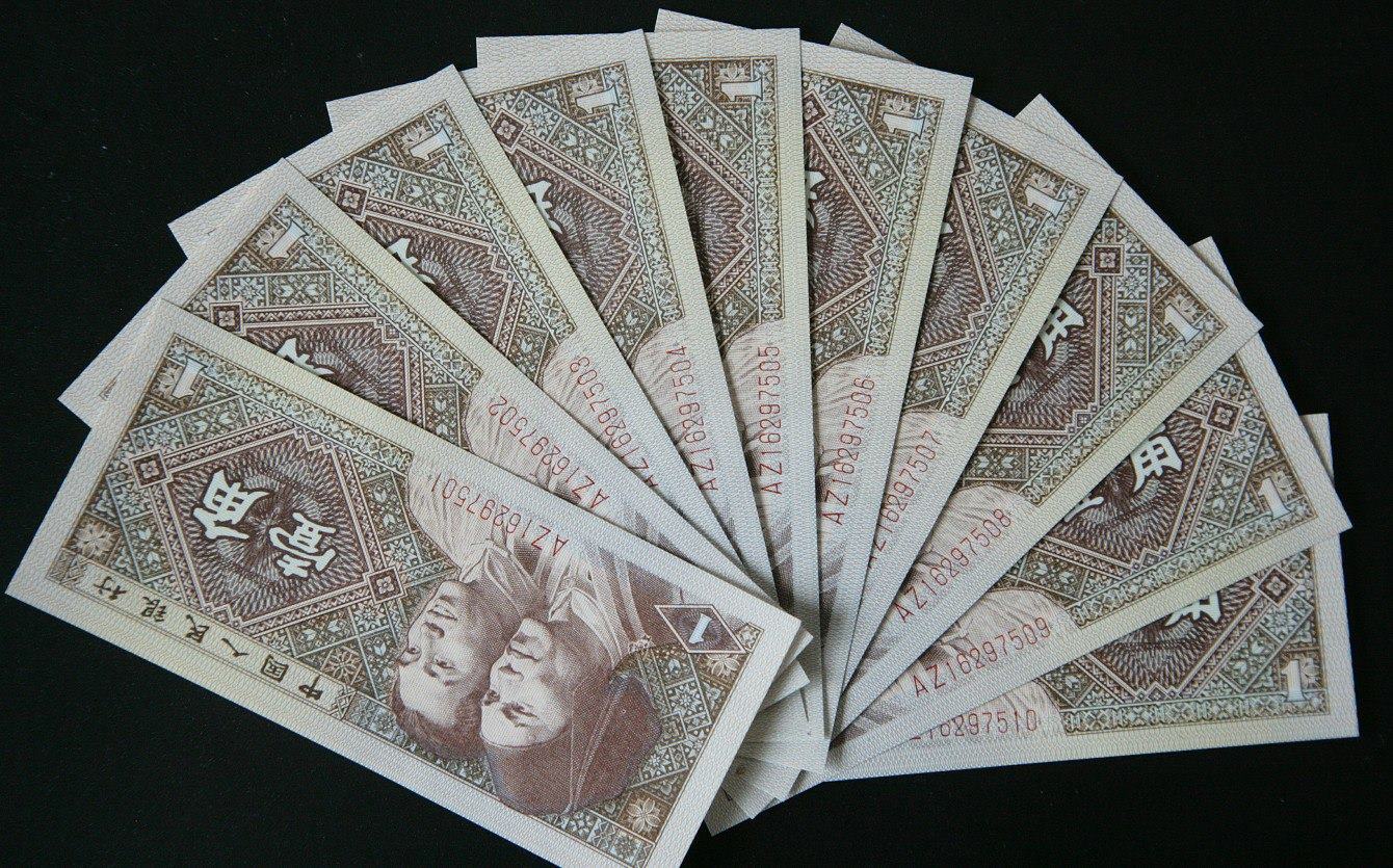 8001最美错印币.花开富贵内无1评级币标十联