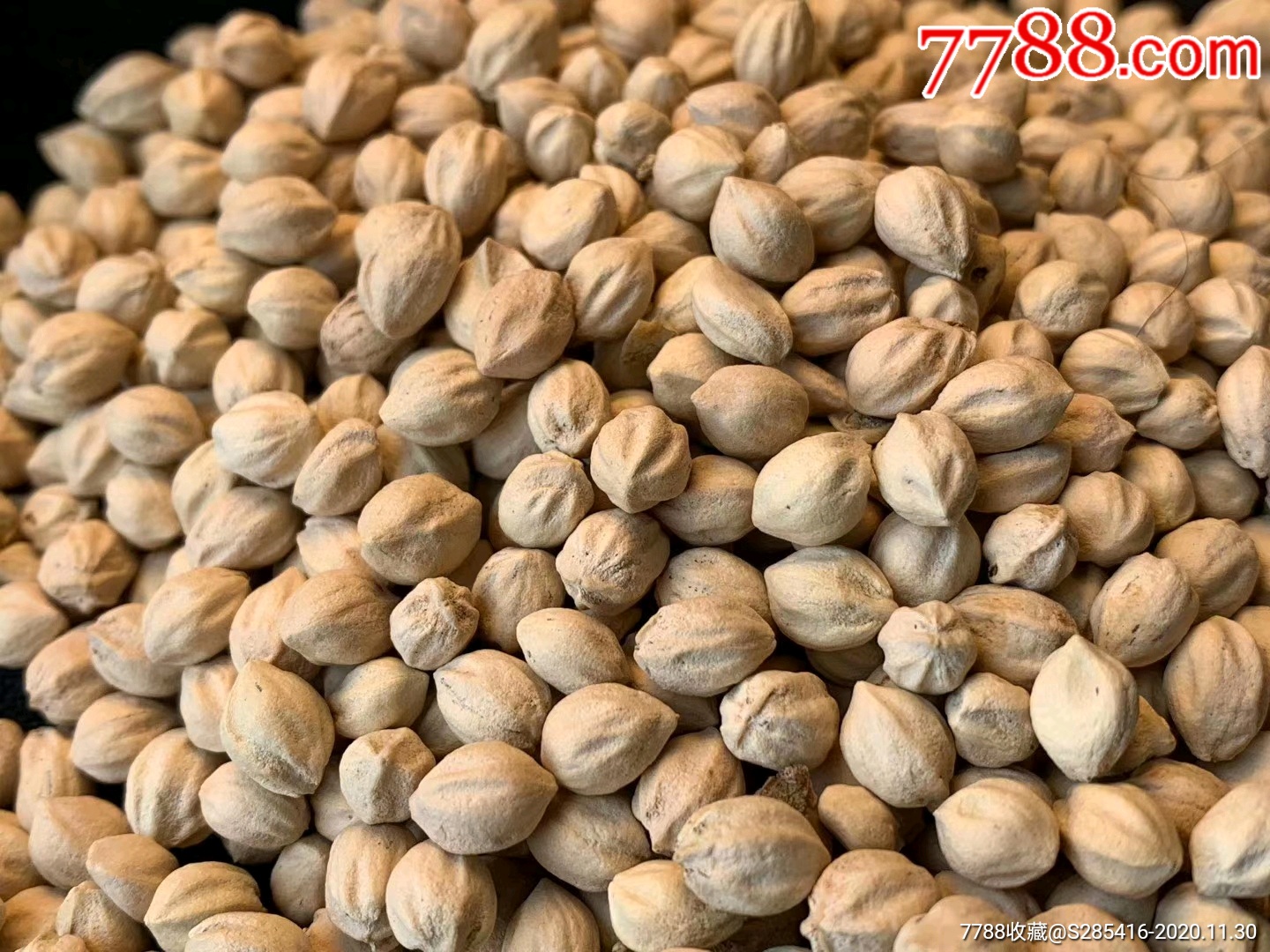 5mm同树同纹柏香籽原籽树籽_第20张_7788文玩