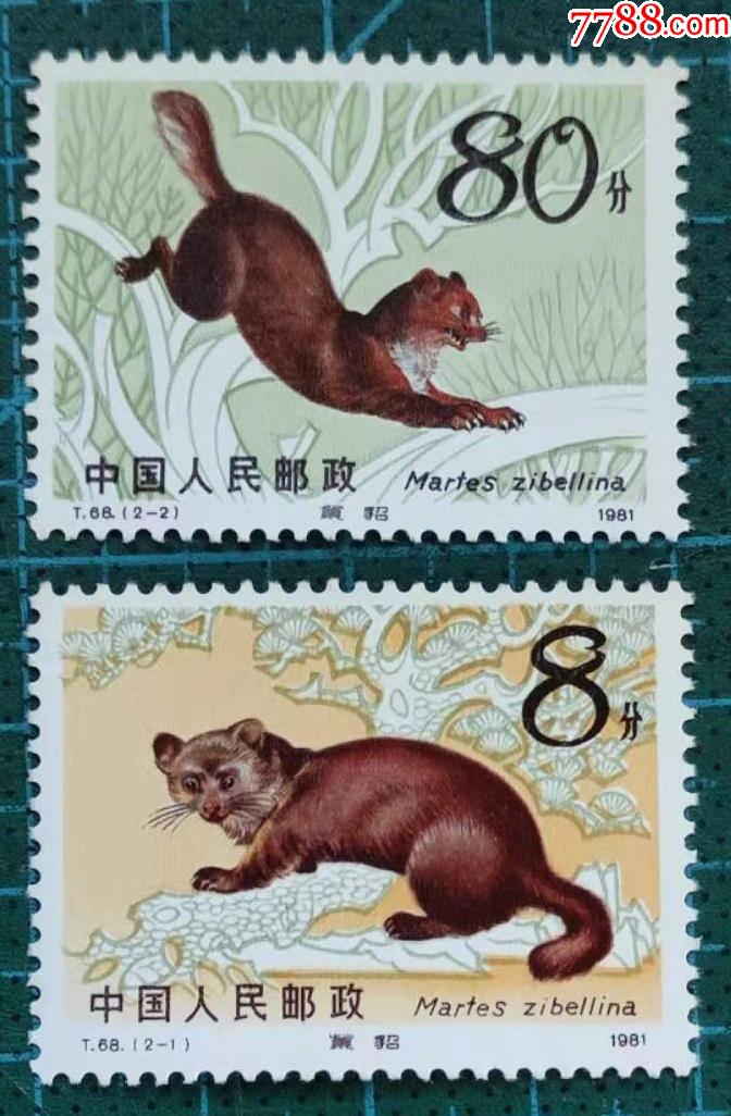 中国邮票t68紫貂
