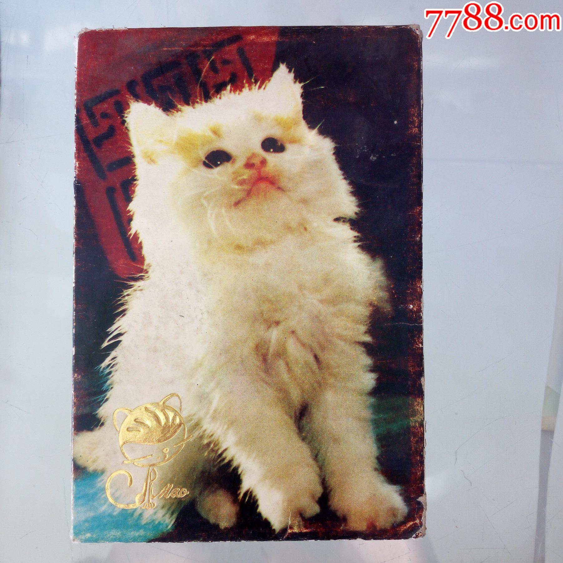 90年代小花猫明信片