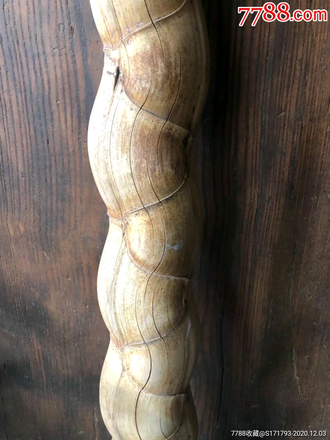 罗汉竹
