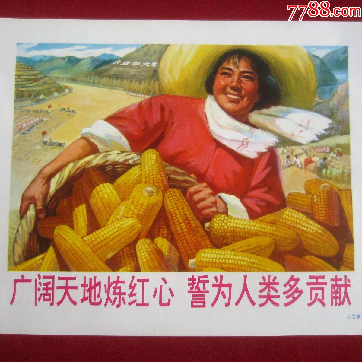 广阔天地炼红心誓为人类多贡献文革色彩浓