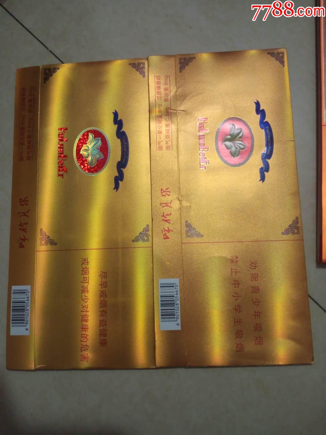 呼伦贝尔天堂草原一对