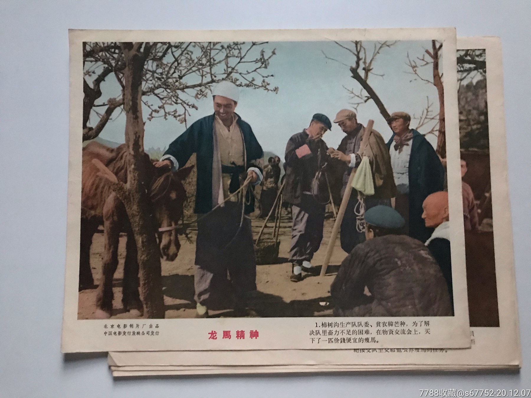 老故事片《龙马精神》剧照(八张全)-电影海报-7788收藏