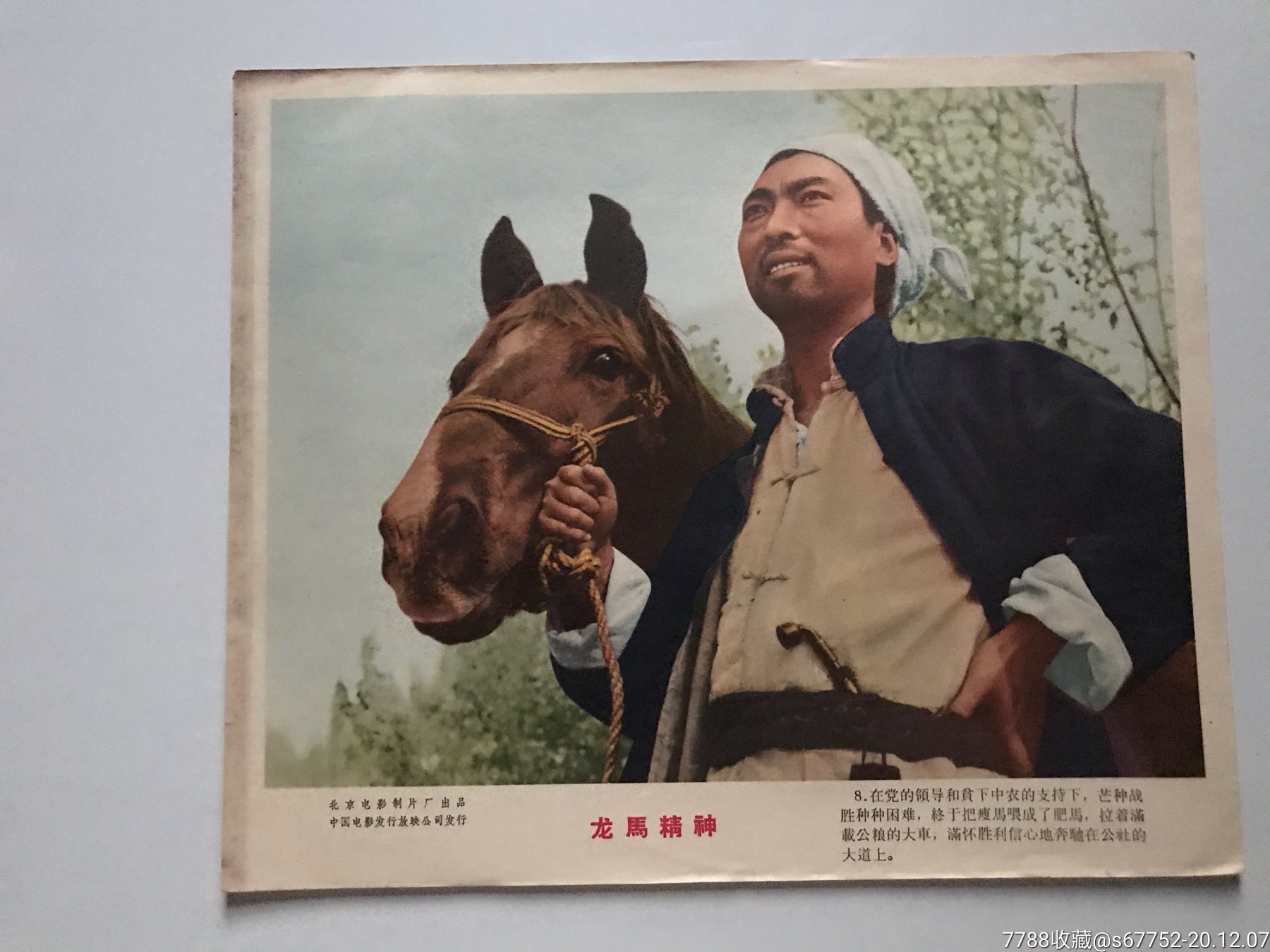老故事片《龙马精神》剧照(八张全)_电影海报_第8张_7788奇石收藏