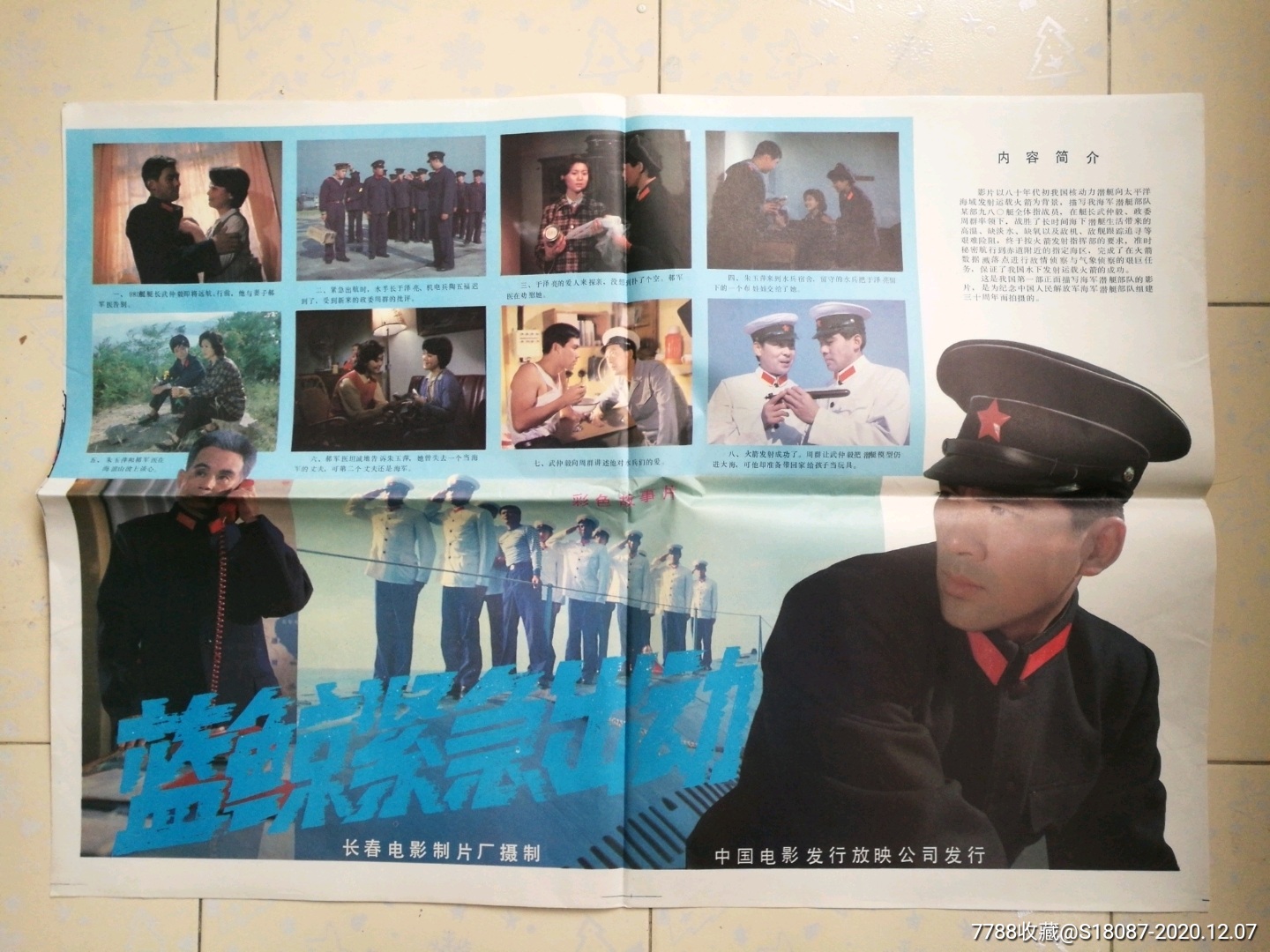 蓝鲸紧急出动-电影海报-7788收藏