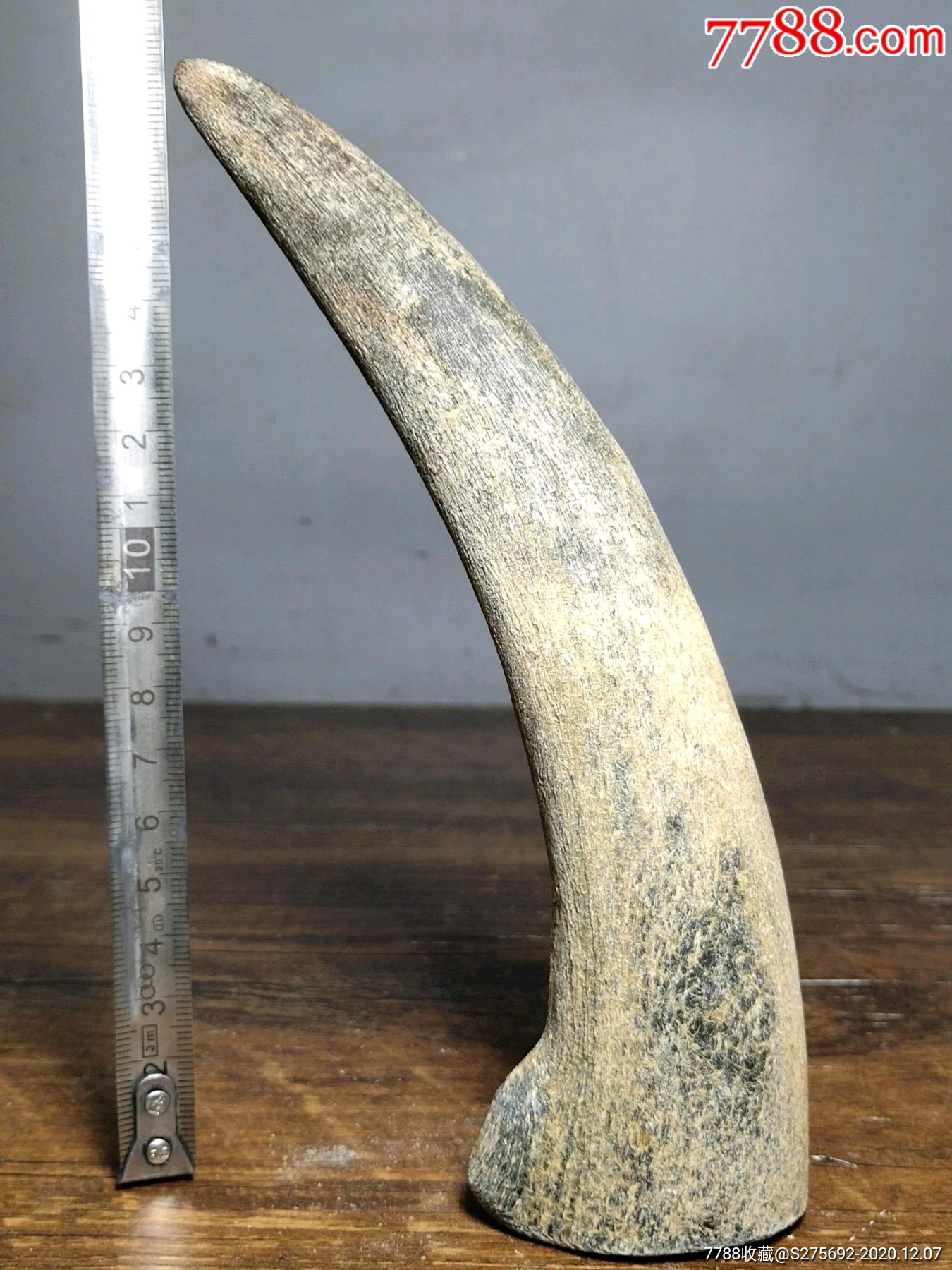 老牛角尖镇宅辟邪保平安摆件