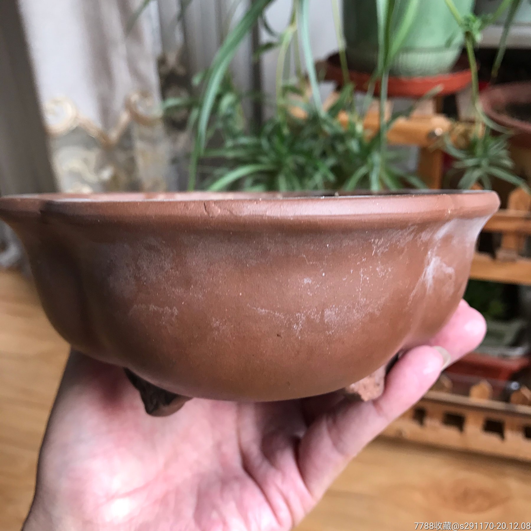 中国宜兴紫砂盆钱珍华