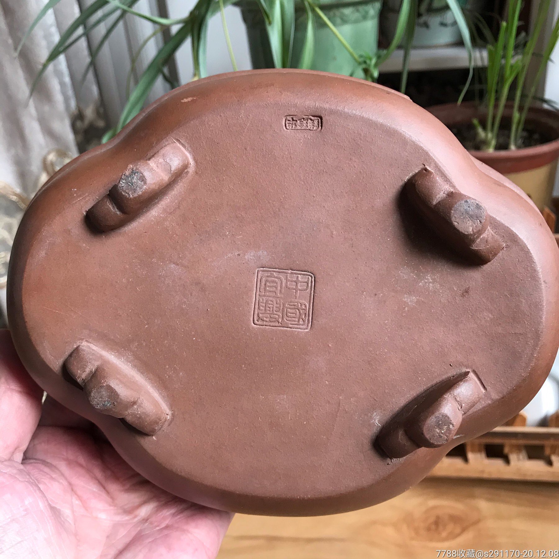 中国宜兴紫砂盆钱珍华