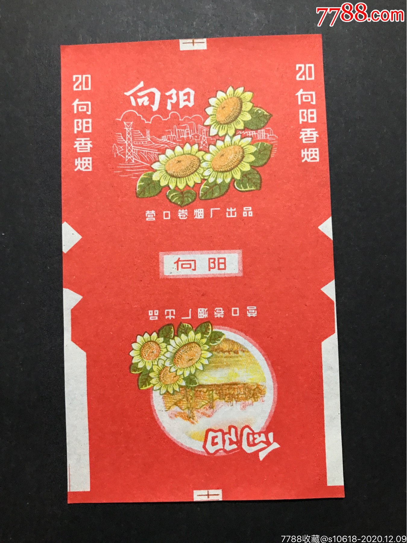 向阳
