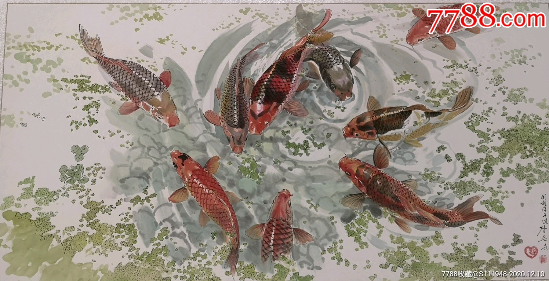 朝鲜画金鲤鱼九条