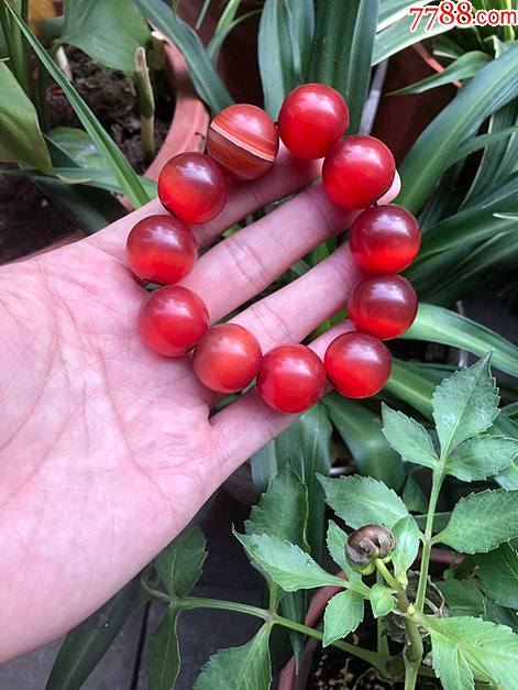 古玩古董珠宝玉石收藏宝石红色猫眼石圆珠手链手串古珠子鸿运当头