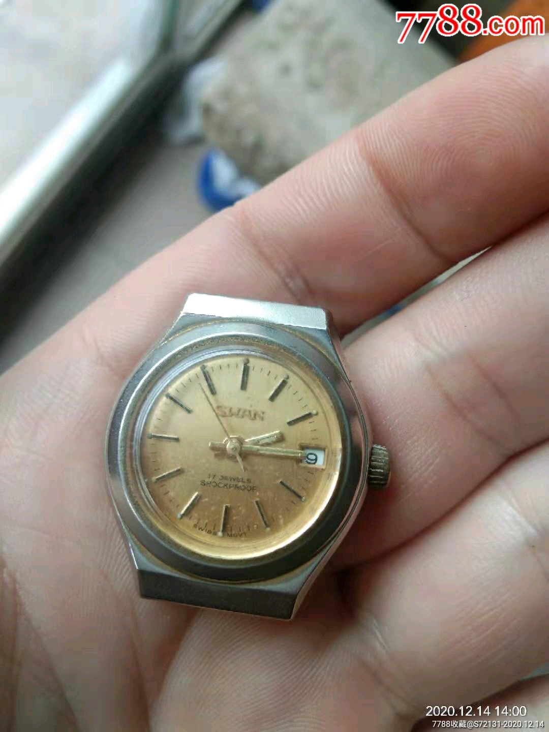 swan手表一块