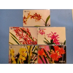 兰花五全(se77228709)_7788收藏__收藏热线