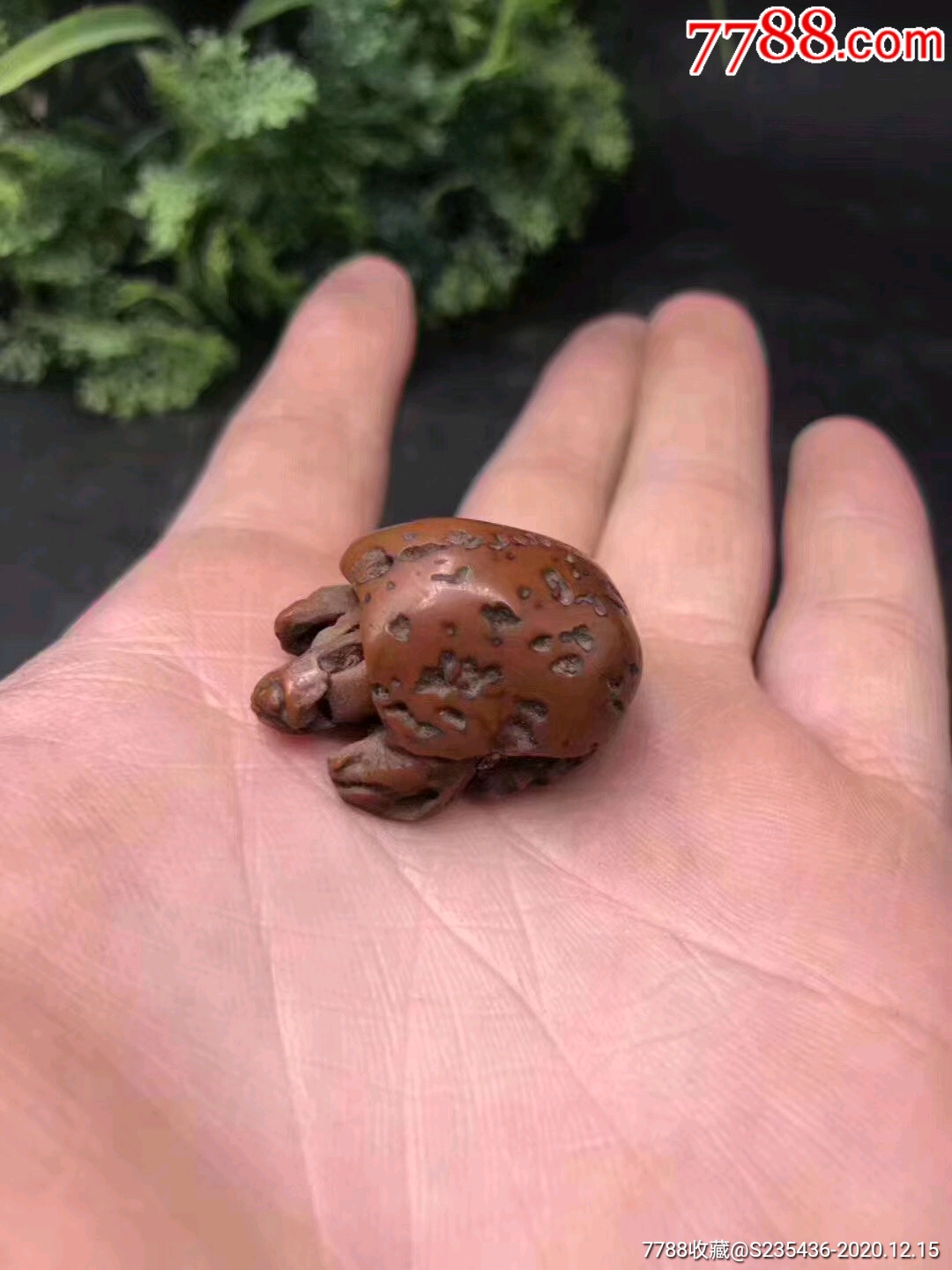 下乡收明代乌龟老核雕包老保真