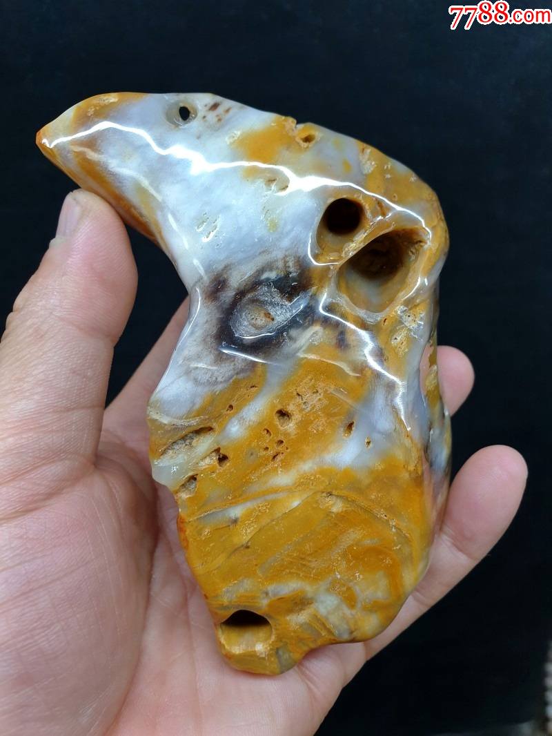 天然树化玉随型手把件文玩精品象形奇石木化石正品特价包邮