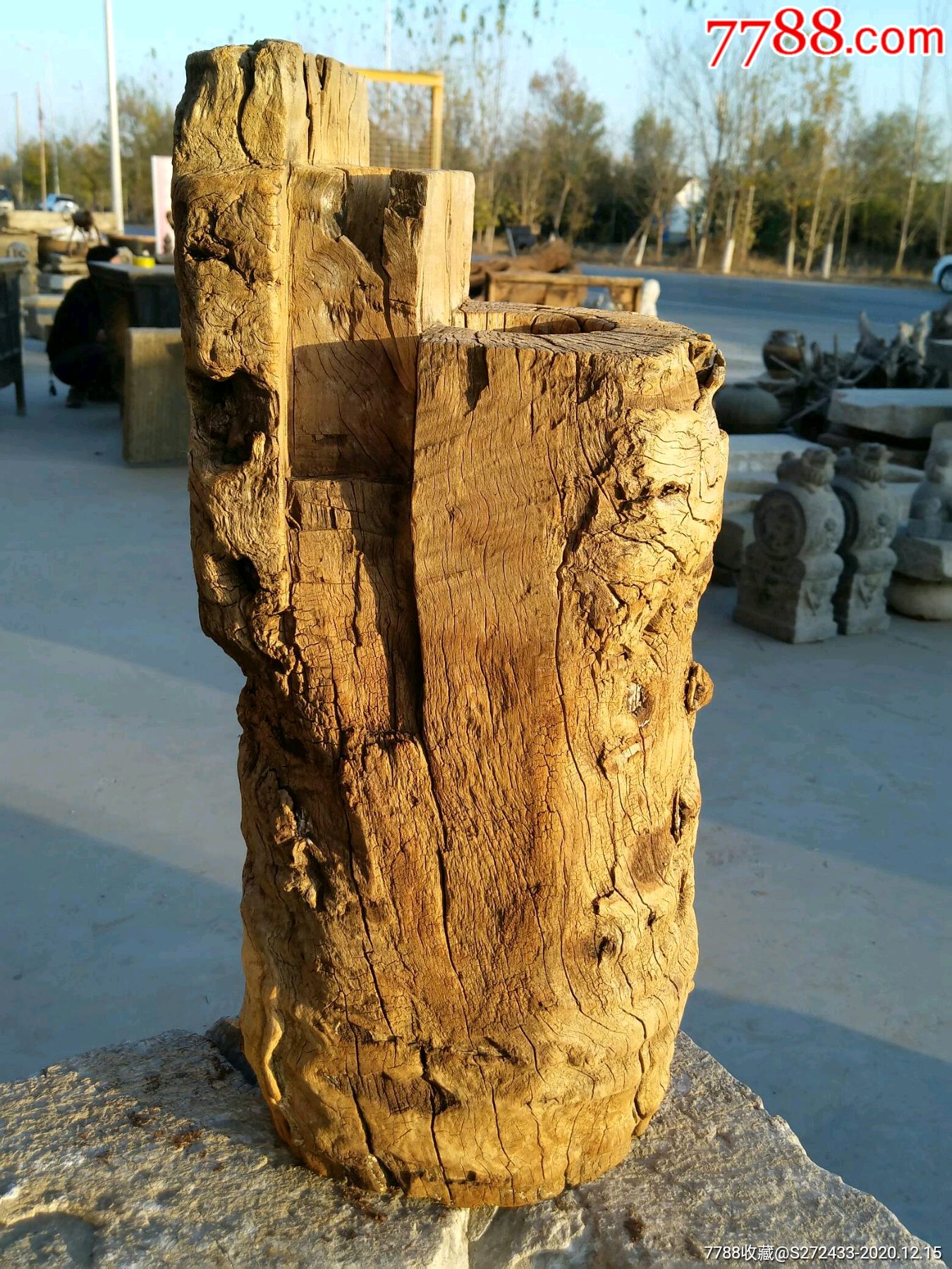 浑然天成纹理精美的百年老枣木风化木墩,摆设佳品