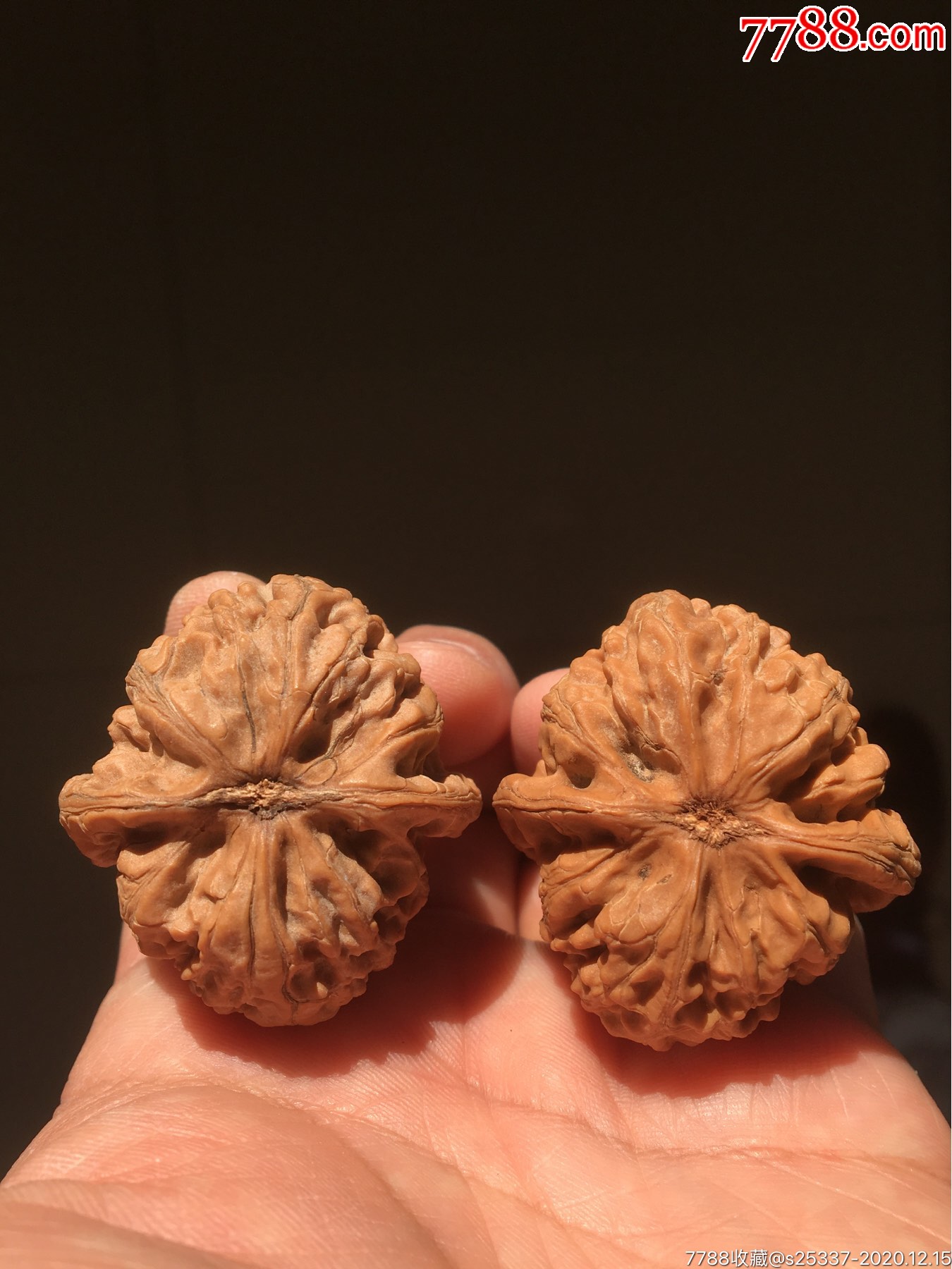 文玩核桃野生大肚粗筋狮子头6