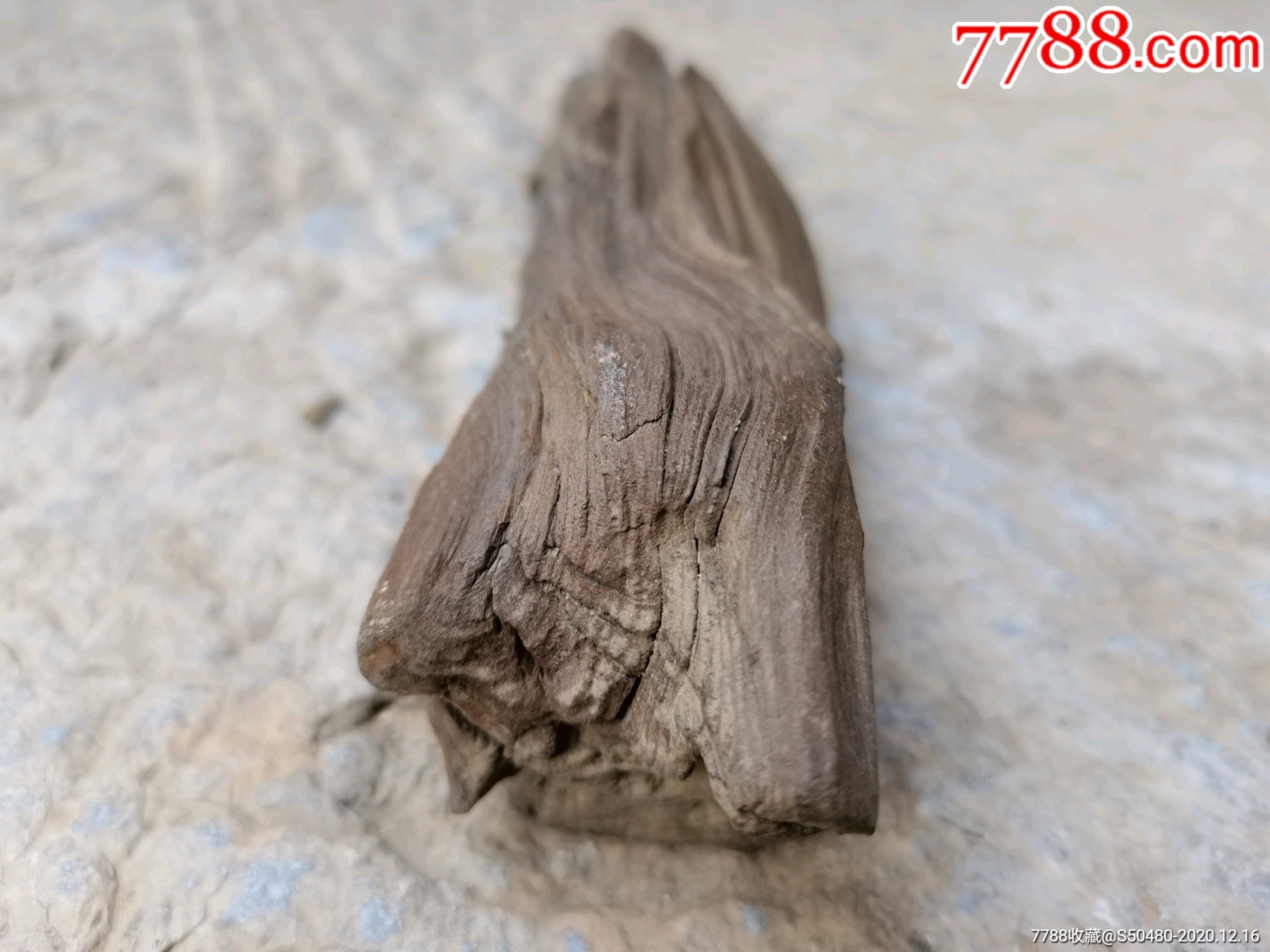 天然观赏奇石戈壁石沙漠漆树化玉沙漠胡杨木化石