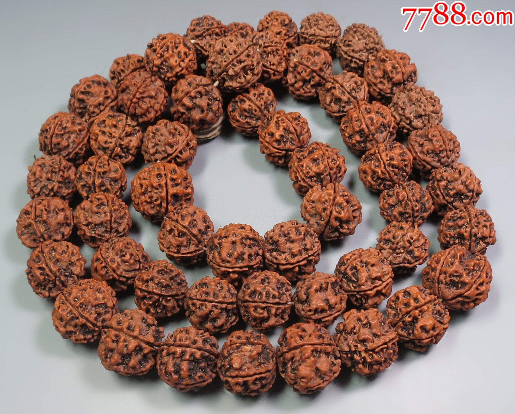 清代:金刚菩提子红皮手串-55颗-包老核_菩提手串/佛珠_古泉古钱币