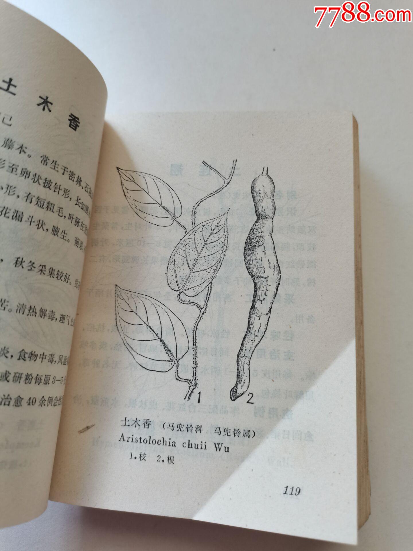 云南思茅中草药选_医书/药书_第8张_7788书籍