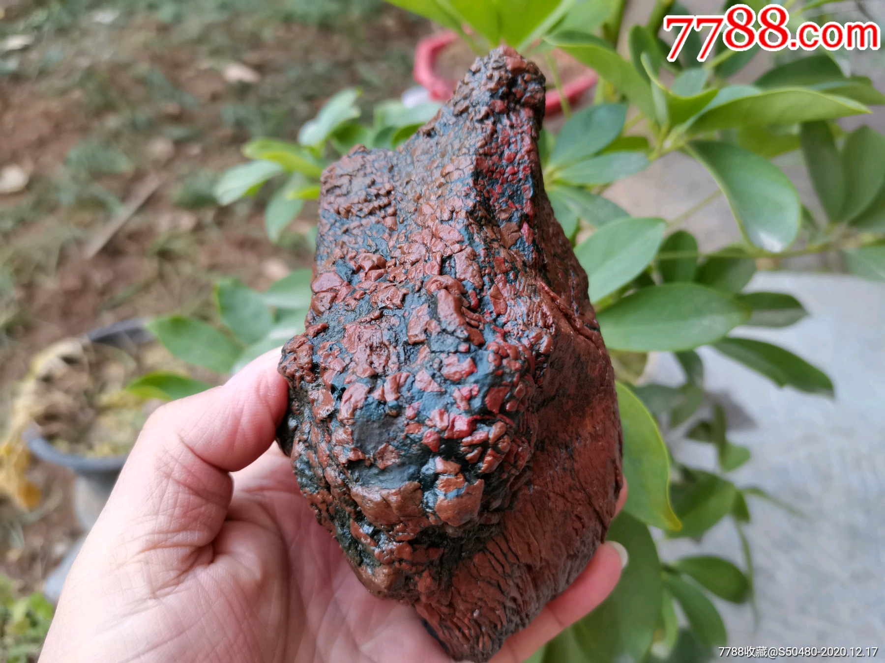 天然奇石内蒙阿拉善戈壁彩玉石开片马牙毛绒石