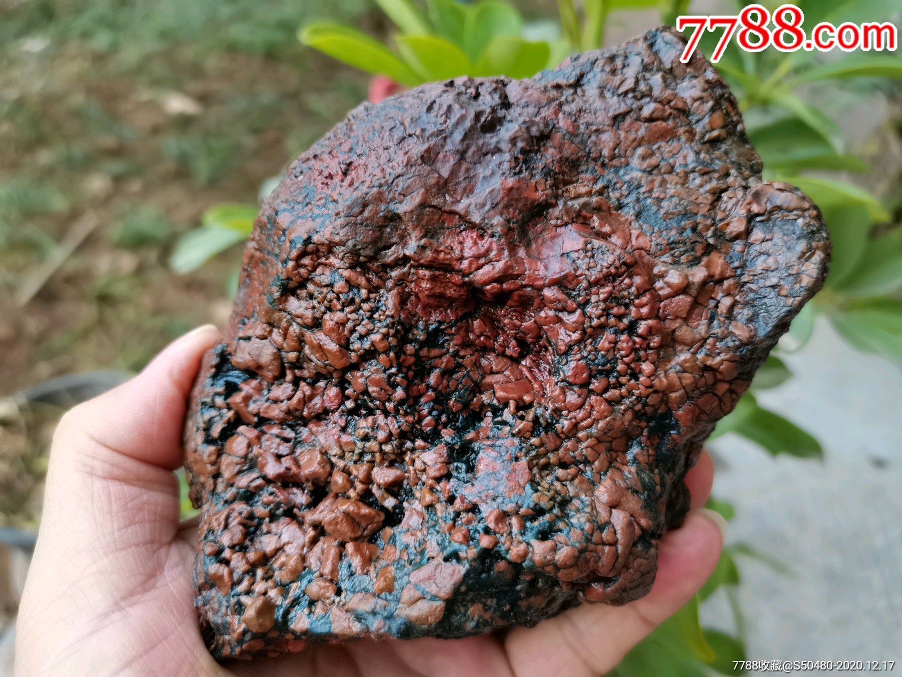 天然奇石内蒙阿拉善戈壁彩玉石开片马牙毛绒石