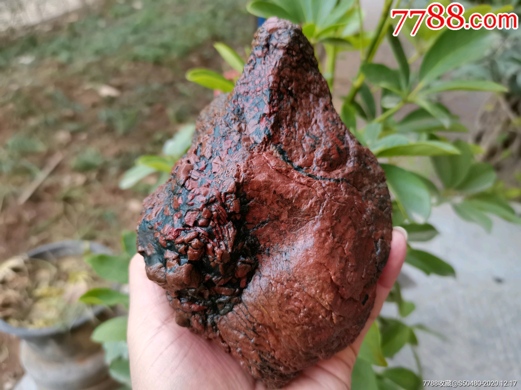 天然奇石内蒙阿拉善戈壁彩玉石开片马牙毛绒石