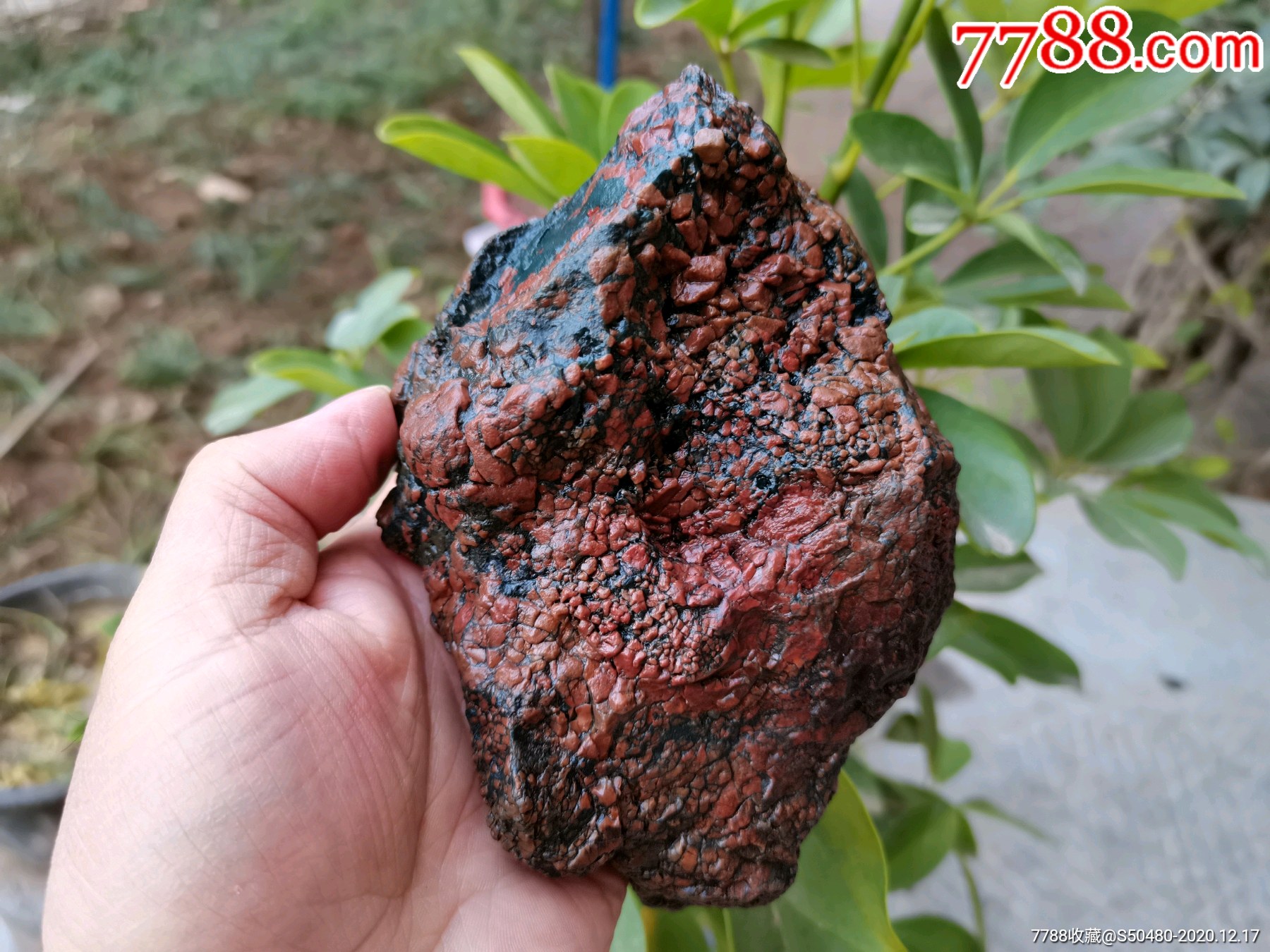 天然奇石内蒙阿拉善戈壁彩玉石开片马牙毛绒石