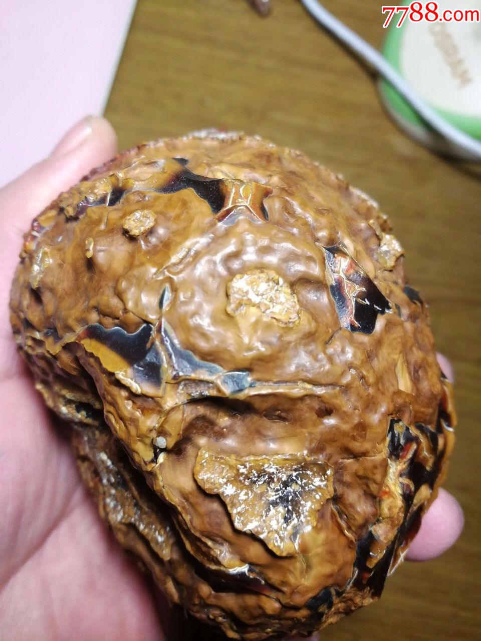 绝美罕见原皮蜜糖色阿拉善戈壁玛瑙原石