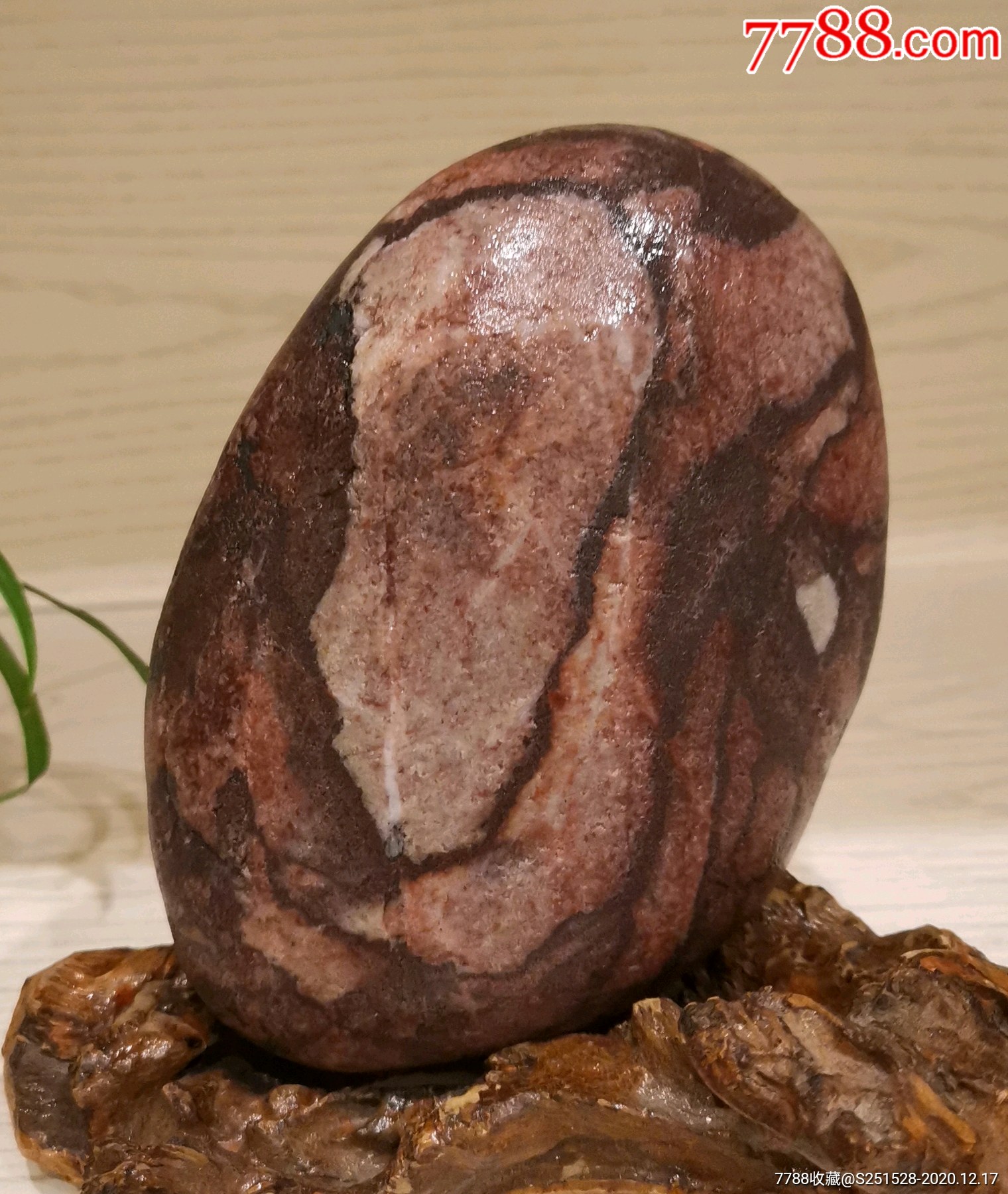 长江芙蓉石