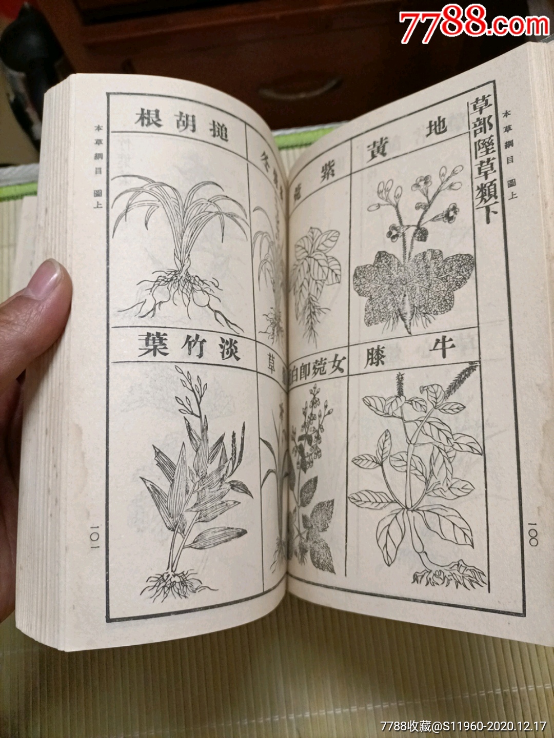 12000种中草药大全书本图片