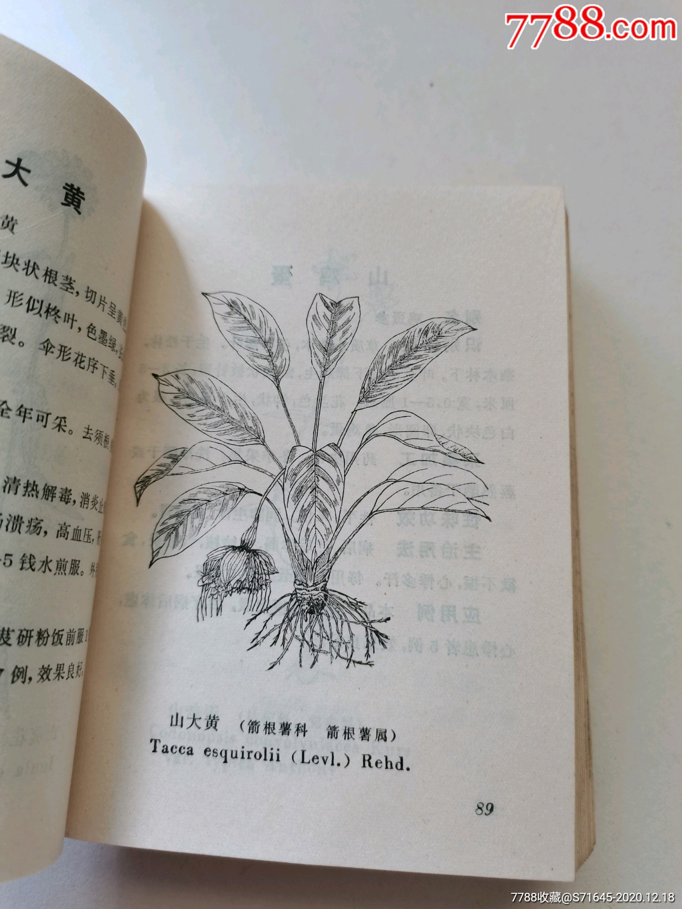 云南思茅中草药选