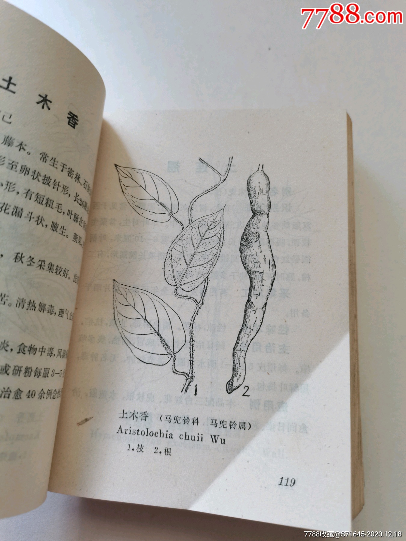 云南思茅中草药选