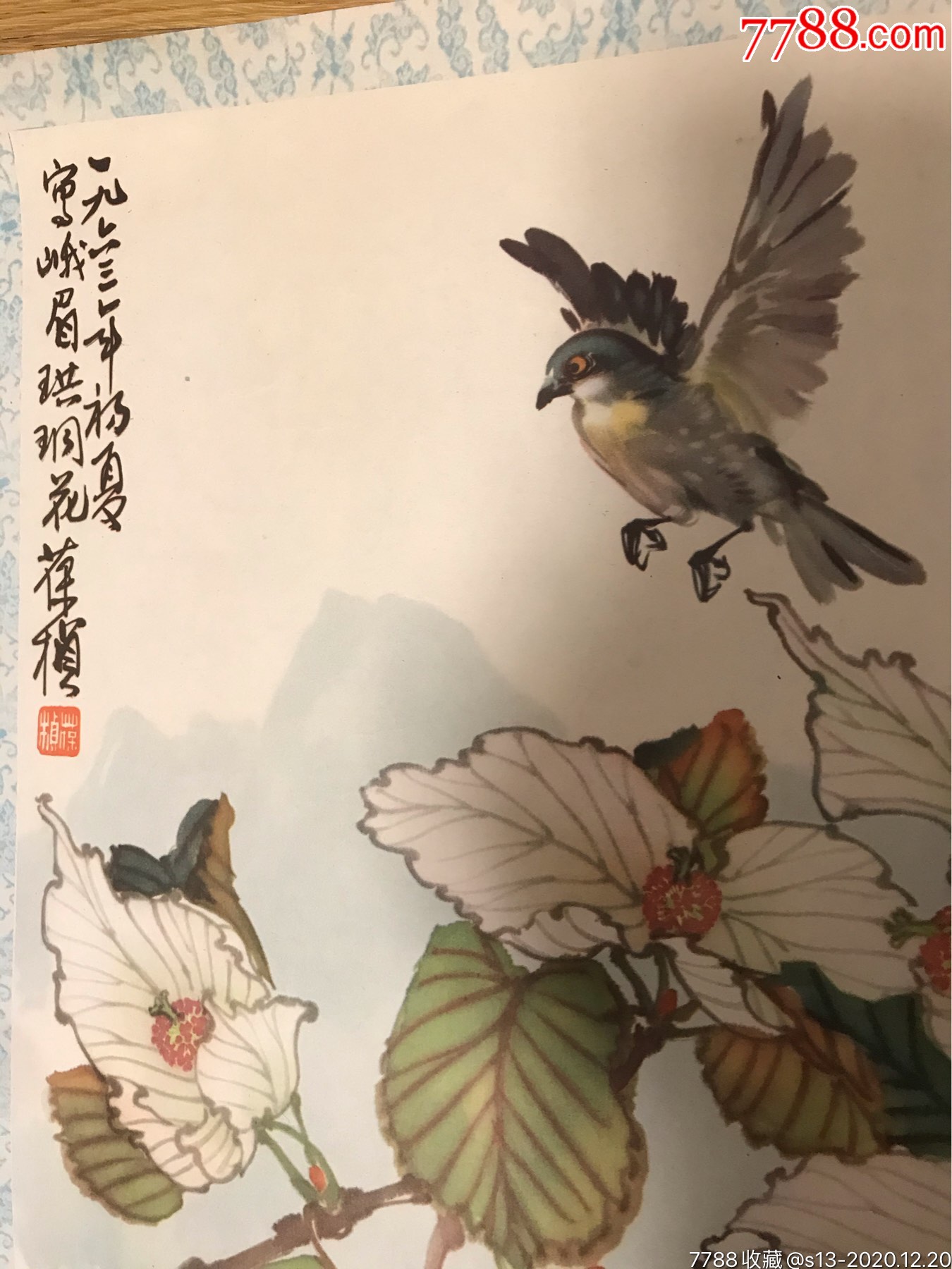 苏葆桢(珙桐花)60年代,印量极少-年画/宣传画-7788画册网