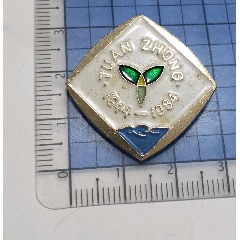 大团中学建校40年1944----1984