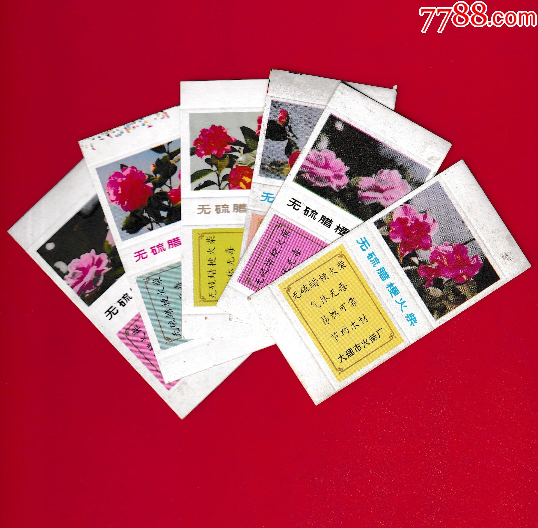 山茶花植物卡片图片