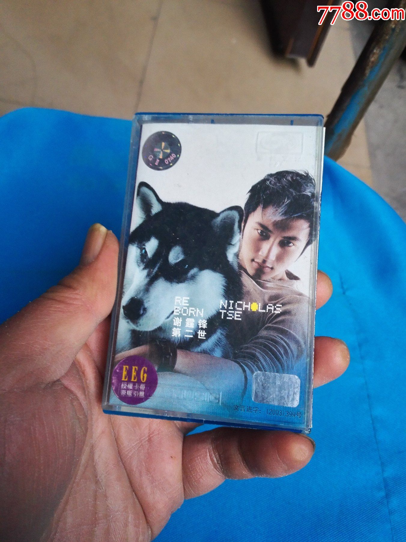 谢霆锋——第二世