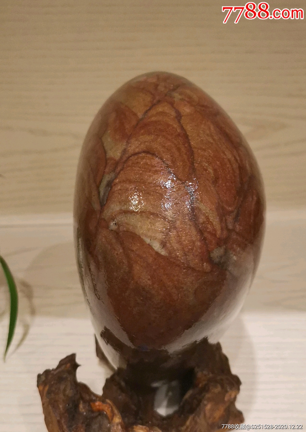 长江芙蓉石